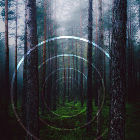 Polyscapes by James Pike