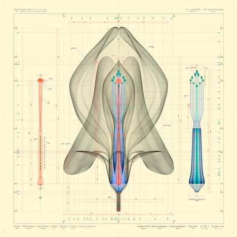Inorganic Flora by Macoto Murayama